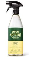 Lemon & Mint All Purpose Cleaner - 28 fl oz - Everspring™