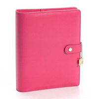 Simple Stories SSCDA5-10442 Carpe Diem A5 Planner-Pink,