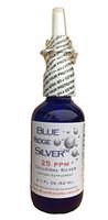  Blue Ridge Silver 25 ppm, 2.1 oz Colloidal Silver Vertical Spray