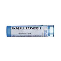 Boiron Anagallis Arvensis 30c, Blue, 80 Count