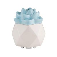 SpaRoom Succulent Essential Oil Diffuser - Home Decor Diffuser - Cool Mist - Aromatherapy Essential Oil Diffuser - Aroma Diffuser - Home Fragrance, Air Diffuser for Essential Oils