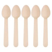 Siumir Disposable Wooden Spoons Dessert Spoon Biodegradable Disposable Cutlery (100 pcs)