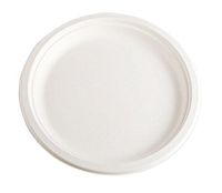 10 inch Biodegradable Sugarcane Classic Round Plate (Case of 300)