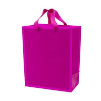 Hallmark 9" Medium Gift Bag (Hot Pink) for Birthdays, Baby Showers, Bridal Showers, Easter, Mothers Day or Any Occasion