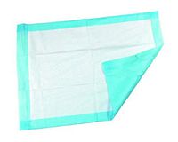AMZ Underpads 22" x 24". Pack of 200 Disposable Economy Fluff Underpads for Incontinence Light Absorbency Blue Poly Backsheet and Non-Woven Topsheet Great for Dogs, Cats