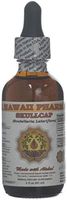 Ginkgo Alcohol-Free Liquid Extract, Organic Ginkgo (Ginkgo Biloba) Dried Leaf Glycerite Hawaii Pharm Natural Herbal Supplement 2 oz