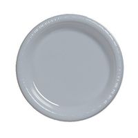Creative Converting Touch of Color 20 Count Plastic Lunch Plates, Shimmering Silver