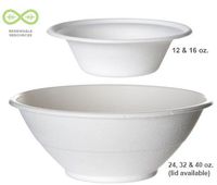 Bulk Compostable Bowls, 12oz Bagasse Dinnerware, Renewable Sugarcane: Eco-Products EP-BL12 (2000 Compostable Bowls)