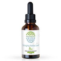 Stinging Nettle Leaf B60 Alcohol-Free Herbal Extract Tincture, Super-Concentrated Organic Stinging Nettle (Urtica Dioica) 2 fl oz