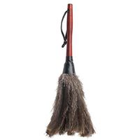 REDECKER Ostrich Feather Duster with Varnished Wooden Handle, Small, 13-3/4-Inches