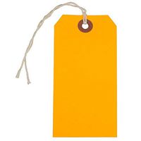JAM PAPER Gift Tags with String - Medium - 4 3/4 x 2 3/8 - Neon Orange - 10/Pack
