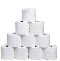 ATACT 10 Rolls Toilet Paper, 3-Ply White Cleaning Paper, Smooth Soft Professional Series Premium Rapid Dissolving Toilet Paper Hand Towels for Daily Use, Individually Wrapped Standard (10PCS-White)