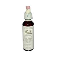 Bach Chicory (1x20 ML)