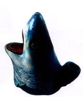 The Shark Head, Smoking Pipe