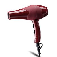QAZWSXE Lightweight Hairdryer,Home Hair Dryer,Hair Dryer Constant Temperature Hair Care Environmentally Friendly Material Corrosion Resistant Removable Air Inlet to Prevent Burns