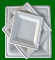 Go-Green Bagasse 10" Square Plates 250 ct.