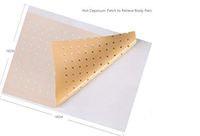 Herbal Capsicum Patch to Reduce Lower Back Pain, Hot Capsicum Patch for Muscular Pain, Waist and Joint Pain, Nature Ingredients Pain Relieving Patch, Hot Patches for Pain