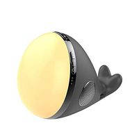 White Noise Machine，High Fidelity Relaxing & Soothing Nature Sounds Auto-Off Timer Portable Sleep Therapy for Home, Office, Baby & Travel