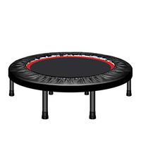 Bathtub Rails Trampoline Adult Gym Household Trampoline Indoor Sports Weight Loss Equipment Slimming Collapsible Trampoline Loading Weight 150kg (Color : Without armrests, Size : 40inches)