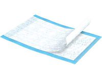 TENA Underpad 23" x 36" (Pack of 25)
