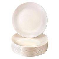 DISPOSABLE PLASTIC APPETIZER PLATES | Premium Reusable Cake Plates | 20 Salad Plates | Opulence Cream | 9"
