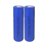 Westinghouse ER261020 3.6V 18amp Double C Lithium Thionyl Chloride Battery; Replacement for Digitrak Vermeer, Ditch Witch & Sond Horizontal Drilling Transmitters & Locators ((2 Count))