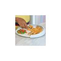 My Plate-Mate Food Guard (Small)