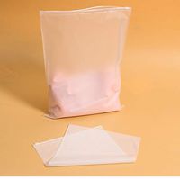 Otun Plastic Clothing Zipper Bag, peva Sanding self-Sealing Bag, Women's Clothing Packaging, Bag(10PC)