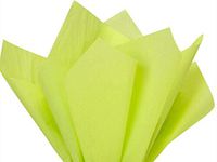960 Sheets Leaf Green Tissue Paper 15x20 Holiday Weddings Pompoms Gifts Crafts Party Supplies tokocathy
