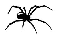 Tarantula Spider Cage Pet Food Vinyl Decal Sticker (Black)