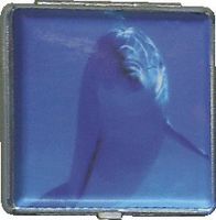 Eclipse Dolphin King Size Cigarette Case (dolphin)