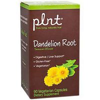 PLNT Dandelion Root 450MG (Taraxacum officinale), Supports Digestion and Liver Health, Gluten Free, Vegetarian, Dairy Free (90 Veggie Capsules)