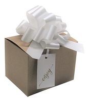 Kraft Striped Tuck Top Boxes, Satin Pull Bows with Hang Tags-12 Sets (White Bows 6x4)