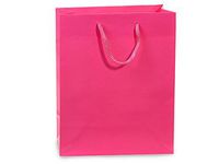 Gloss Laminated Gift Bags - Hot Pink Gloss Gift Bags Cub Bulk 8x4x10" (100 Bags) - Wraps-GTCBHP