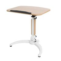 WDDMFR Lift Computer Desk,Mobile Desk Adjustable,Sofa Table, Bed, Laptop Learning Table Suitable for Home Office presentations