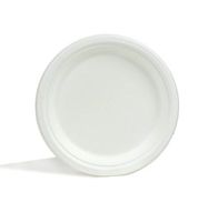 Repurpose 100% Compostable Plates | Plant Based Bagasse | 9 Inch | 125 Eco Friendly Disposable Plates