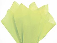 Fresh Lime Tissue Paper 20x30" 480 Sheet Flat Ream - Wraps-CTFFL