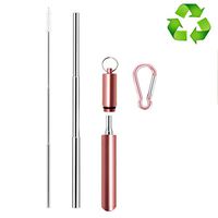 RGTOPONE Reusable Telescopic Straw Collapsible Stainless Steel Metal Drinking with Case Cleaning Brush Keychain for Travel Fmaily Party