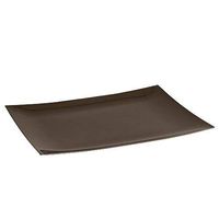 Lillian 9 X 6-7/8 Inch Rectangular Plastic Plates, 10 Count, Chestnut