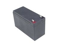 Battery-Biz Inc. 12 Volt 7 Ah SLA UPS battery
