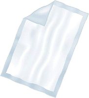 Harmonie Disposable Underpads - Harmonie Underpads Regular - 23 x 24quot; - Case of 200 - SCT351