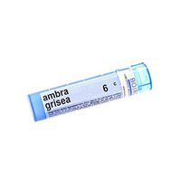 Boiron Ambra Grisea 6c, Blue, 80 Count