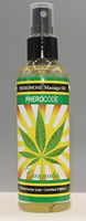 Massage Oil PheroCode 3.4 Fl. Oz with Cannabis and Pheromones Sensual Aphrodisiac Cannabis