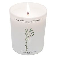 Lavandula Angustifolia (Lavender) Candle 6.7oz candle by Carriere Freres Industrie