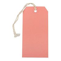 JAM PAPER Gift Tags with String - Medium - 4 3/4 x 2 3/8 - Pink - 10/Pack