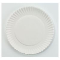 AJM Packaging Corporation : White Paper Plates, 6" Diameter, 10 Bags of 100 per Carton -:- Sold as 2 Packs of - 1000 - / - Total of 2000 Each