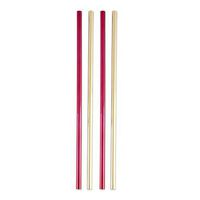 True Fabrication 5823 Rustic Holiday: Assorted Stainless Steel Cocktail Straws by, Multicolor