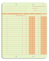 EGP One Write Ledger Card, 250 Ledgers