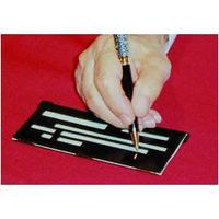 Sturdy Check Writing Guide