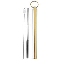 Portable Telescopic 304 Stainless Steel Drinking Straw,Reusable Travel Straw,Scratch-Proof Metal Straw (Silver)